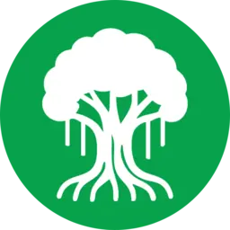 Accountability icon