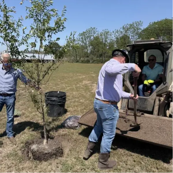 McGill team planting a tree on company grounds