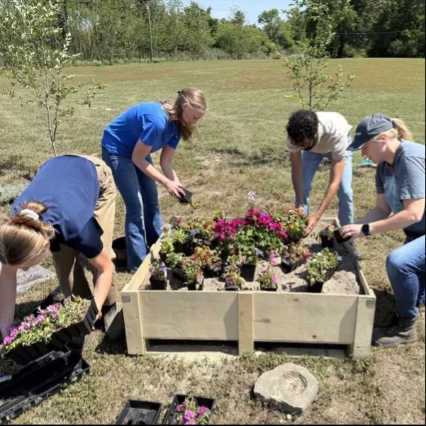 McGill volunteers planting flowers in a raised garden bed